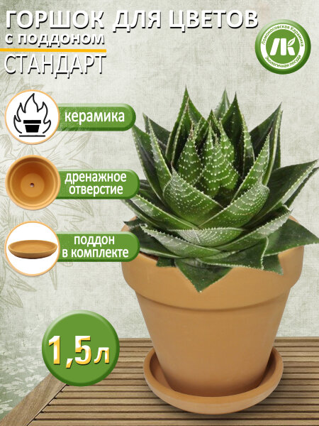 Горшок для цветов с поддоном "Стандарт" Терракот, d17см, 1,5л, керамика