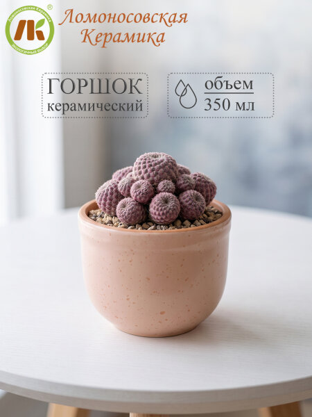 Цветочный горшок без поддона "Ломоносовский" (розовый) d9см, h8см, 0,35л (12) 1ЦЛР-9БП