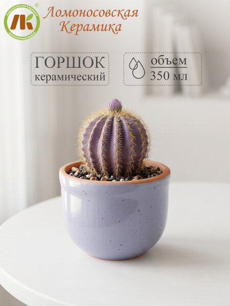 Цветочный горшок без поддона "Ломоносовский" (сиреневый) d9см, h8см, 0,35л (12) 1ЦЛС-9БП