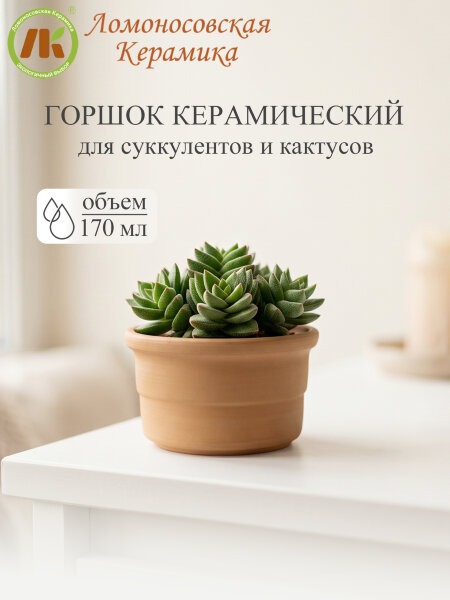 Цветочный горшок без поддона "Риф терракота" d9см, h5,5см, 0,17л (8) 3ЦРТ-4