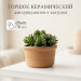 Цветочный горшок без поддона "Риф терракота" d9см, h5,5см, 0,17л (8) 3ЦРТ-4