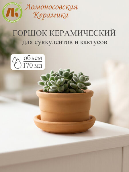 Цветочный горшок "Риф терракота" d9см, h5,5см, 0,17л (8) 3ЦРТ-4П