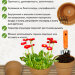 Горшок для цветов без поддона "Стандарт" Терракот, d11см, 450мл, набор 4шт, керамика