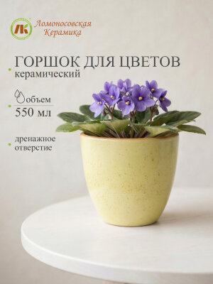 Цветочный горшок без поддона (желтый) d11см, h10см, 550мл (4) 1ЦЖ-11БП