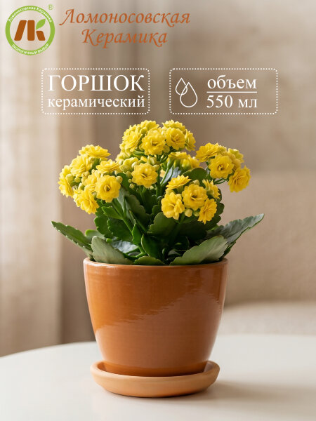Цветочный горшок "Конус" d11см, h10см, 550мл (4) 3Цк3-4