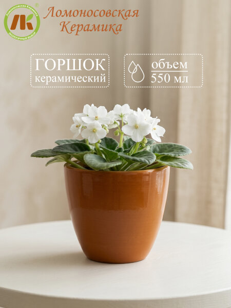 Цветочный горшок без поддона "Конус" d11см, h10см, 550мл (4) 3Цк3-4БП