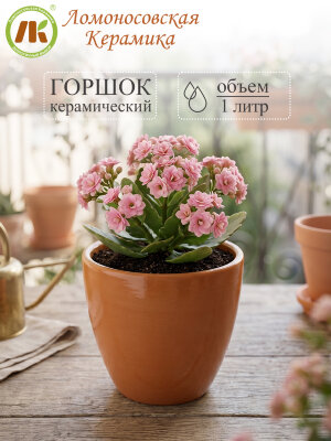 Цветочный горшок без поддона "Конус" d14см, h12см, 1л (4) 3Цк3-1БП