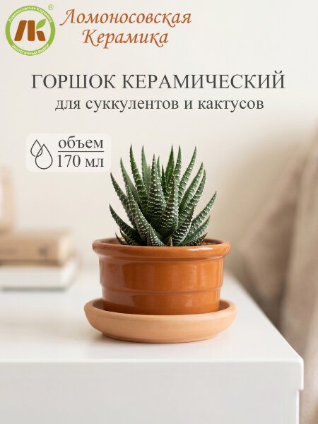 Цветочный горшок "Риф" d9см, h5,5см, 0,17л (8) 3Цр3-4