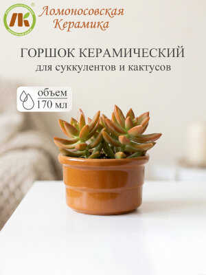 Цветочный горшок без поддона "Риф" d9см, h5,5см, 0,17л (8) 3Цр3-4БП