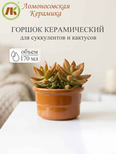 Цветочный горшок без поддона "Риф" d9см, h5,5см, 0,17л (8) 3Цр3-4БП