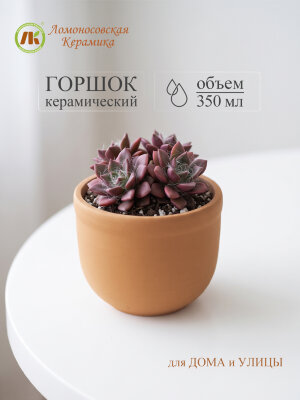Цветочный горшок без поддона "Ломоносовский" (терракот) d9см, h8см, 0,35л (12) 1ЦЛТ-9БП