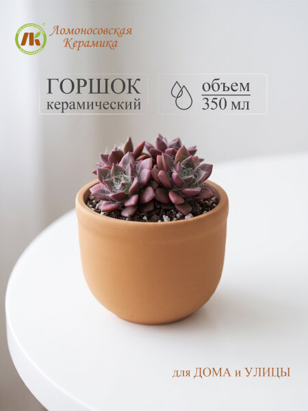 Цветочный горшок без поддона "Ломоносовский" (терракот) d9см, h8см, 0,35л (12) 1ЦЛТ-9БП