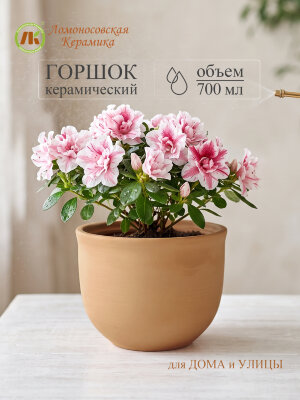 Цветочный горшок без поддона "Ломоносовский" (терракот) d12см, h10см, 0,7л (8) 1ЦЛТ-12БП