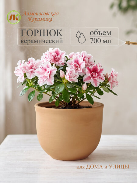 Цветочный горшок без поддона "Ломоносовский" (терракот) d12см, h10см, 0,7л (8) 1ЦЛТ-12БП