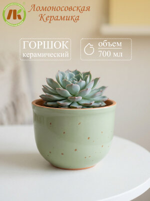 Цветочный горшок без поддона "Ломоносовский" (зеленый) d12см, h10см, 0,7л (8) 1ЦЛЗ-12БП