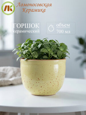 Цветочный горшок без поддона "Ломоносовский" (желтый) d12см, h10см, 0,7л (8) 1ЦЛЖ-12БП