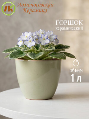 Цветочный горшок без поддона (зеленый) d14см, h13.5см, 1л (4) 1ЦЗ-14БП