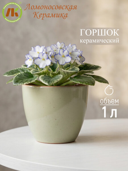 Цветочный горшок без поддона (зеленый) d14см, h13.5см, 1л (4) 1ЦЗ-14БП