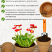 Горшок для цветов с поддоном "Калипсо терракота" 3л, d23см, h13см, керамика, неглазурованный
